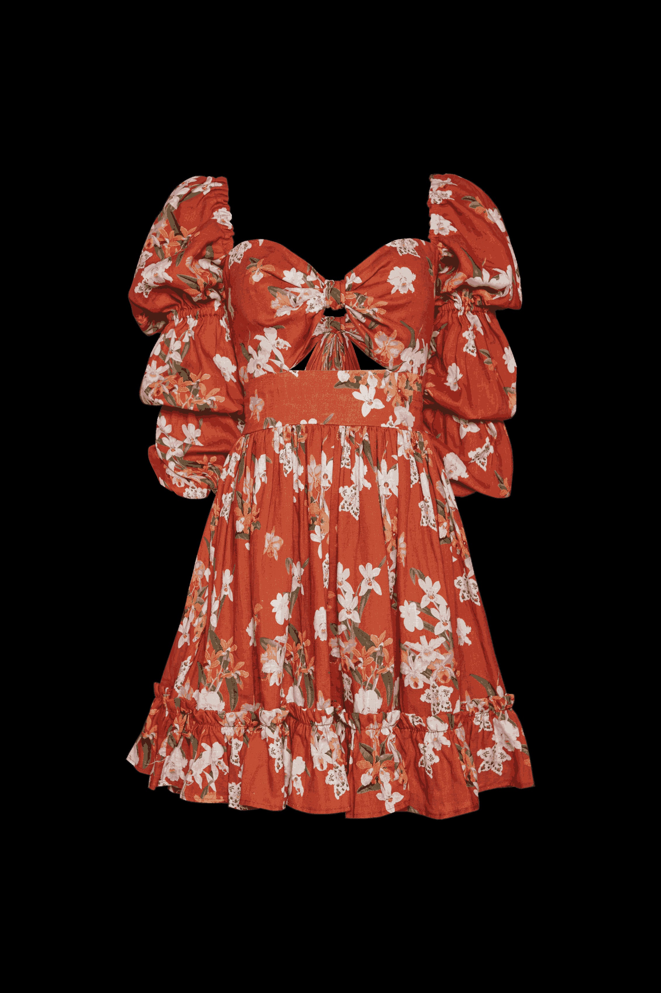 Calendula Rust Dress