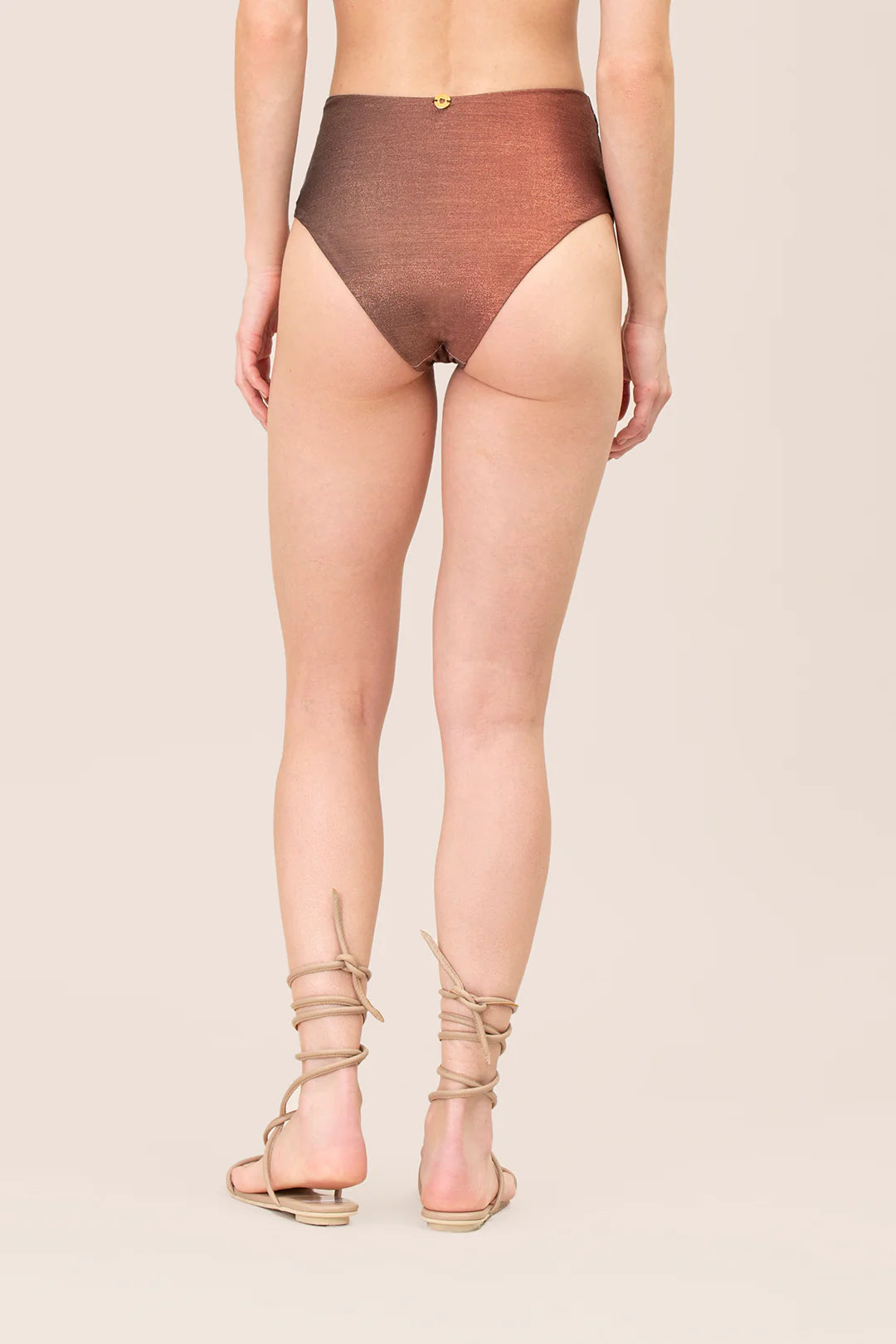 Terra bottom