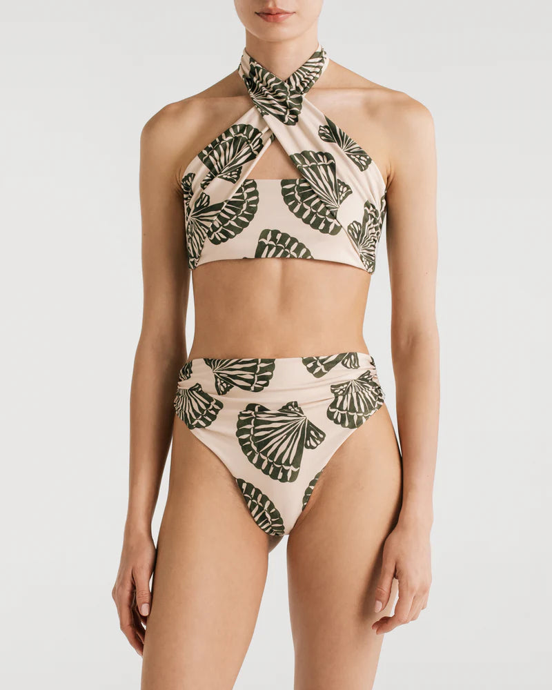 Paola shells top