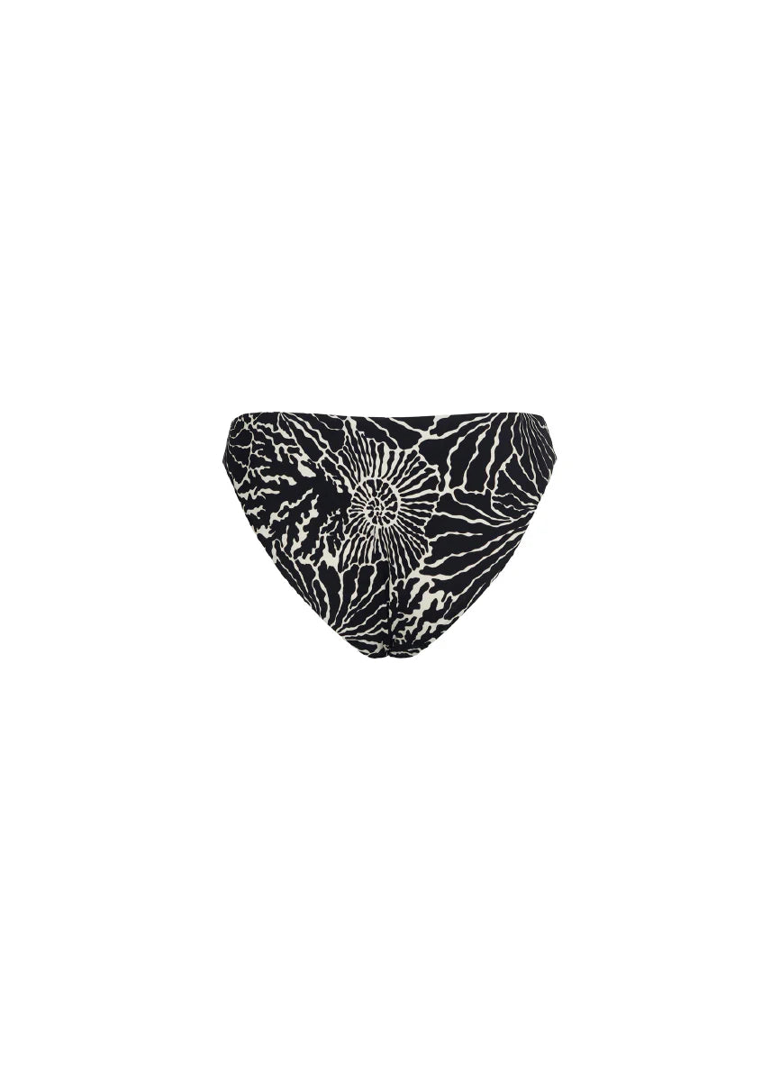 Print reef orchid bottom
