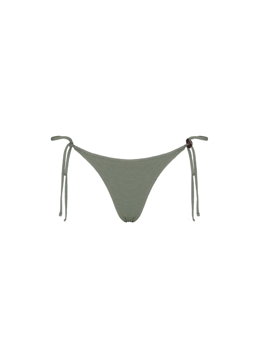 Solid cacti lines zoe bottom