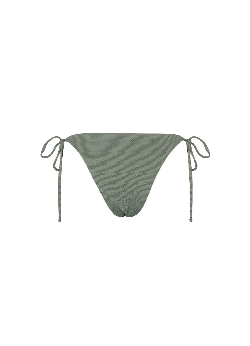Solid cacti lines zoe bottom