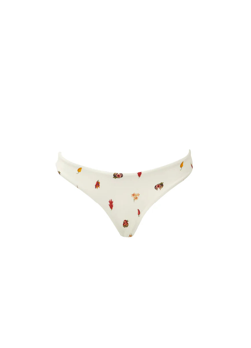 Print crimson heat charlotte bottom