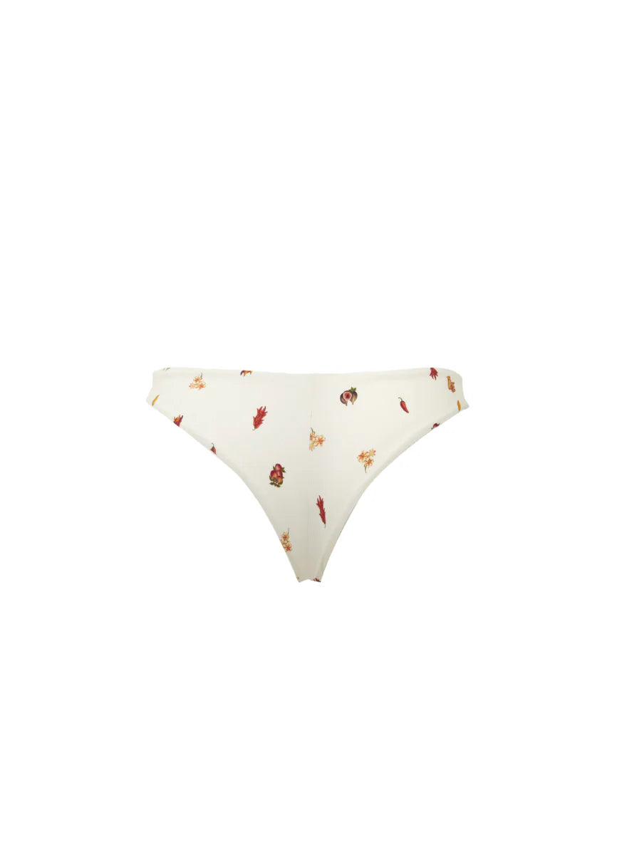 Print crimson heat charlotte bottom