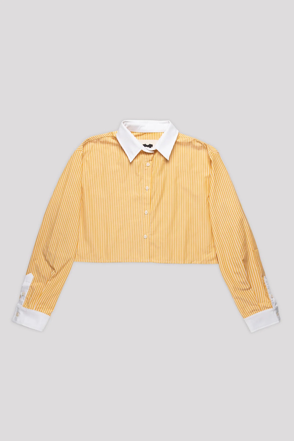 Shirt Not Only But Also 