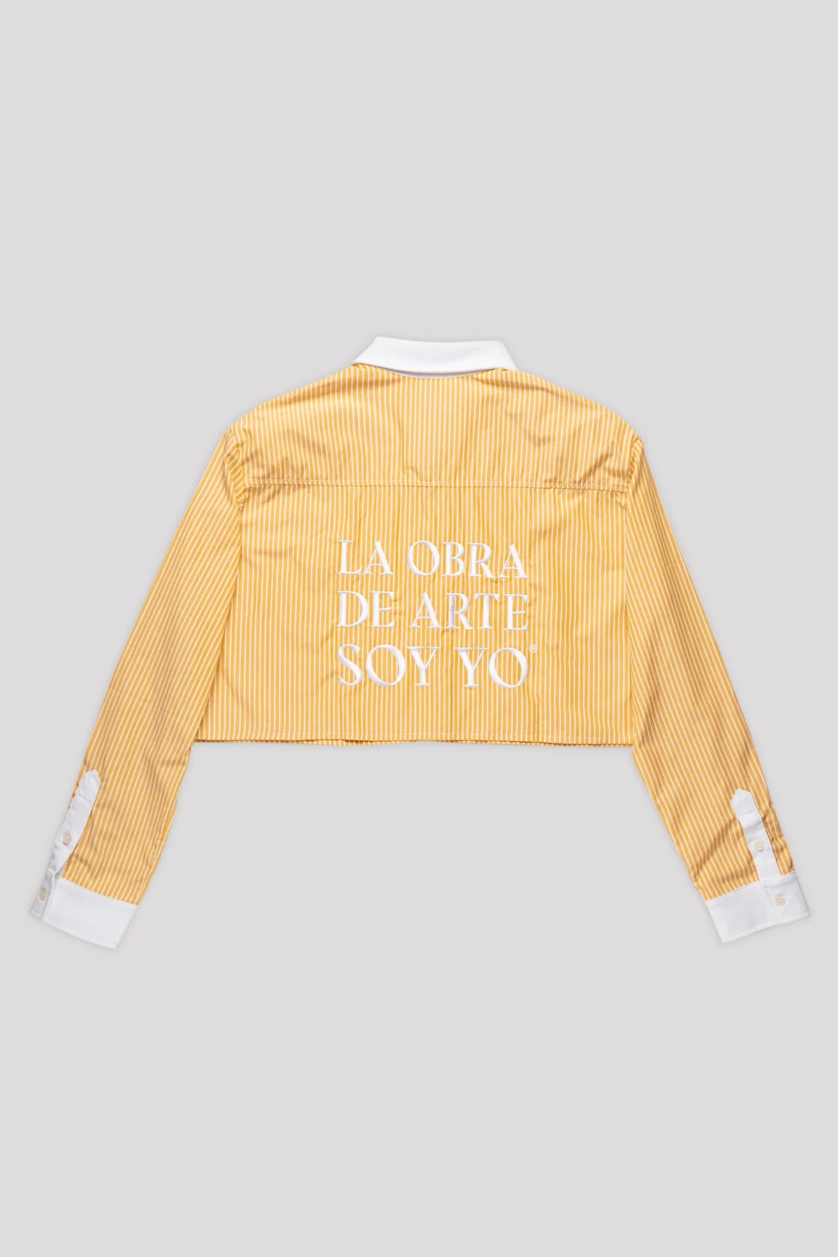Shirt Not Only But Also 