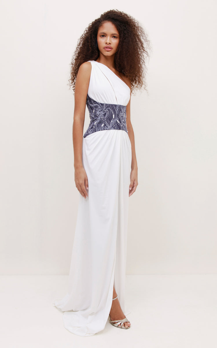 Ambrosia maxi dress