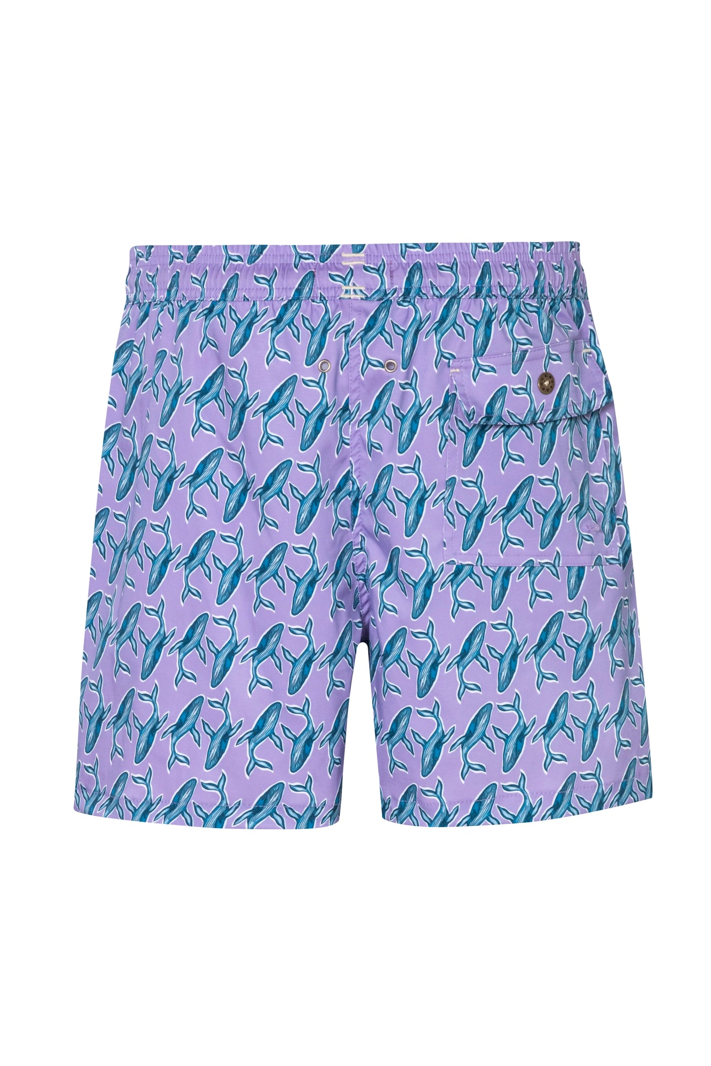 Baleia2 short