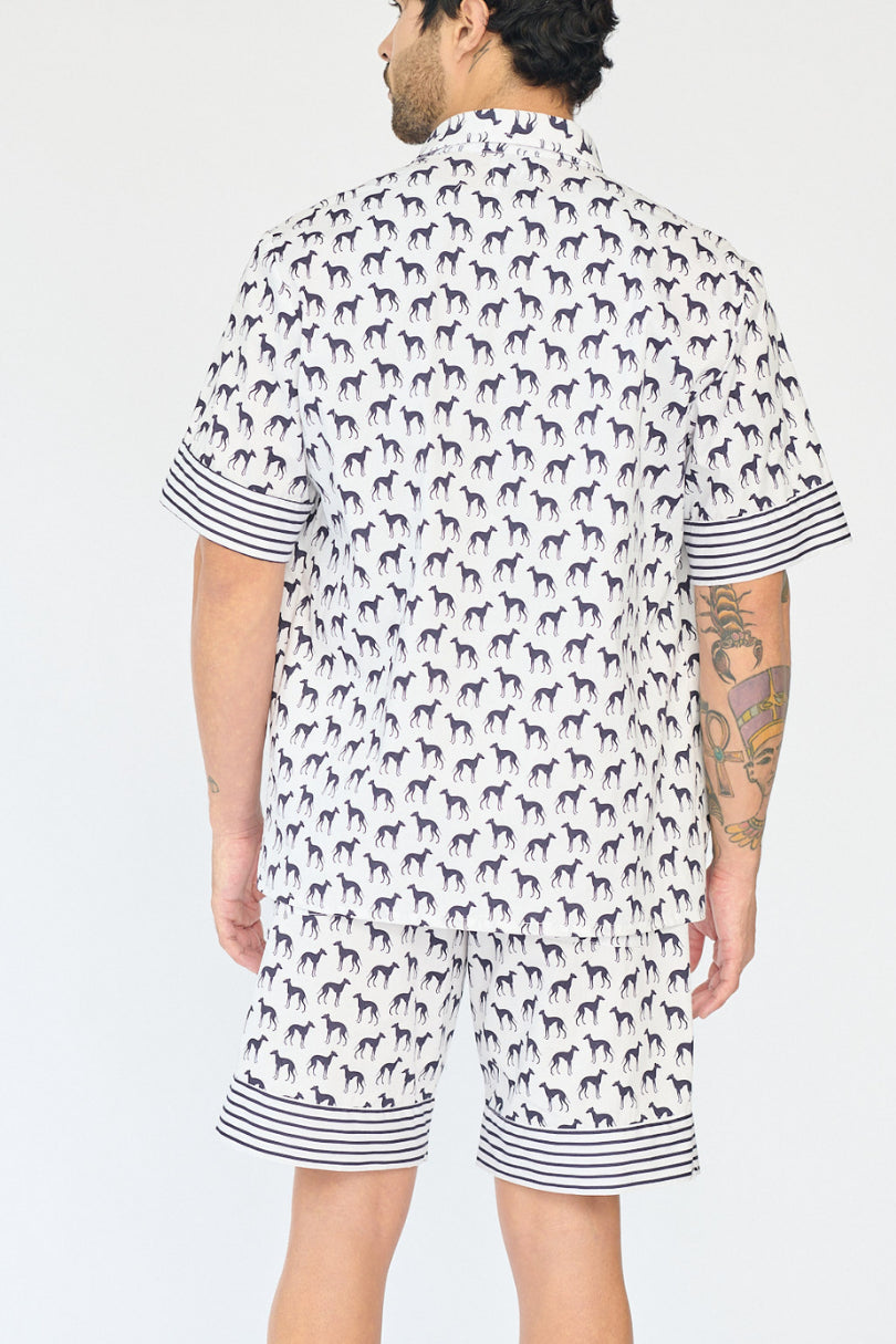 Galgos shirt