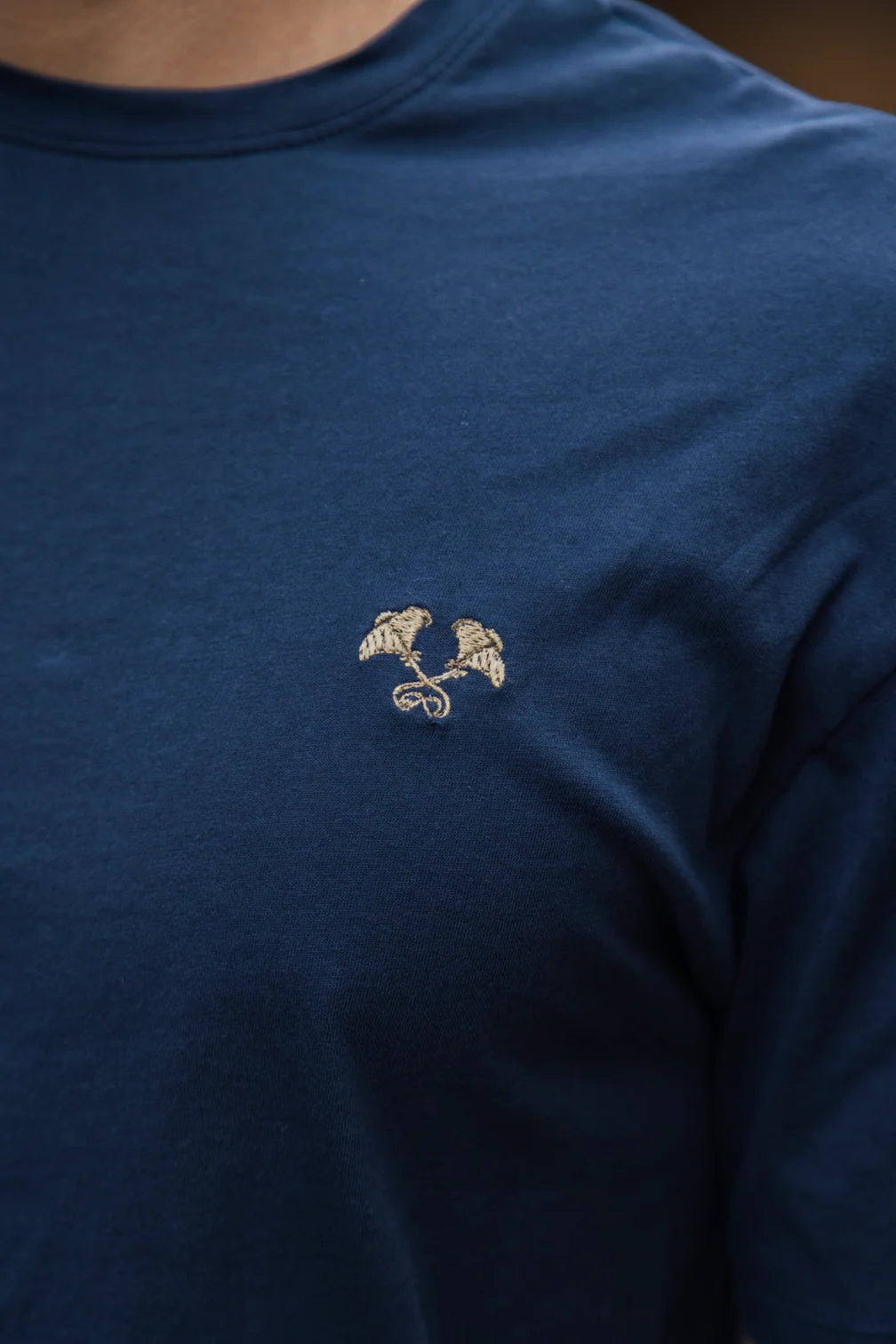 Men's blue tshirt