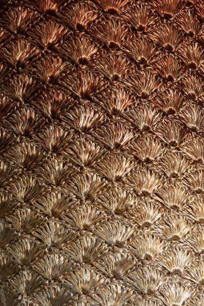 Seashell clutch