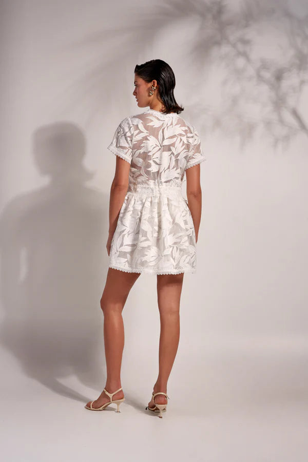 Tara mini dress