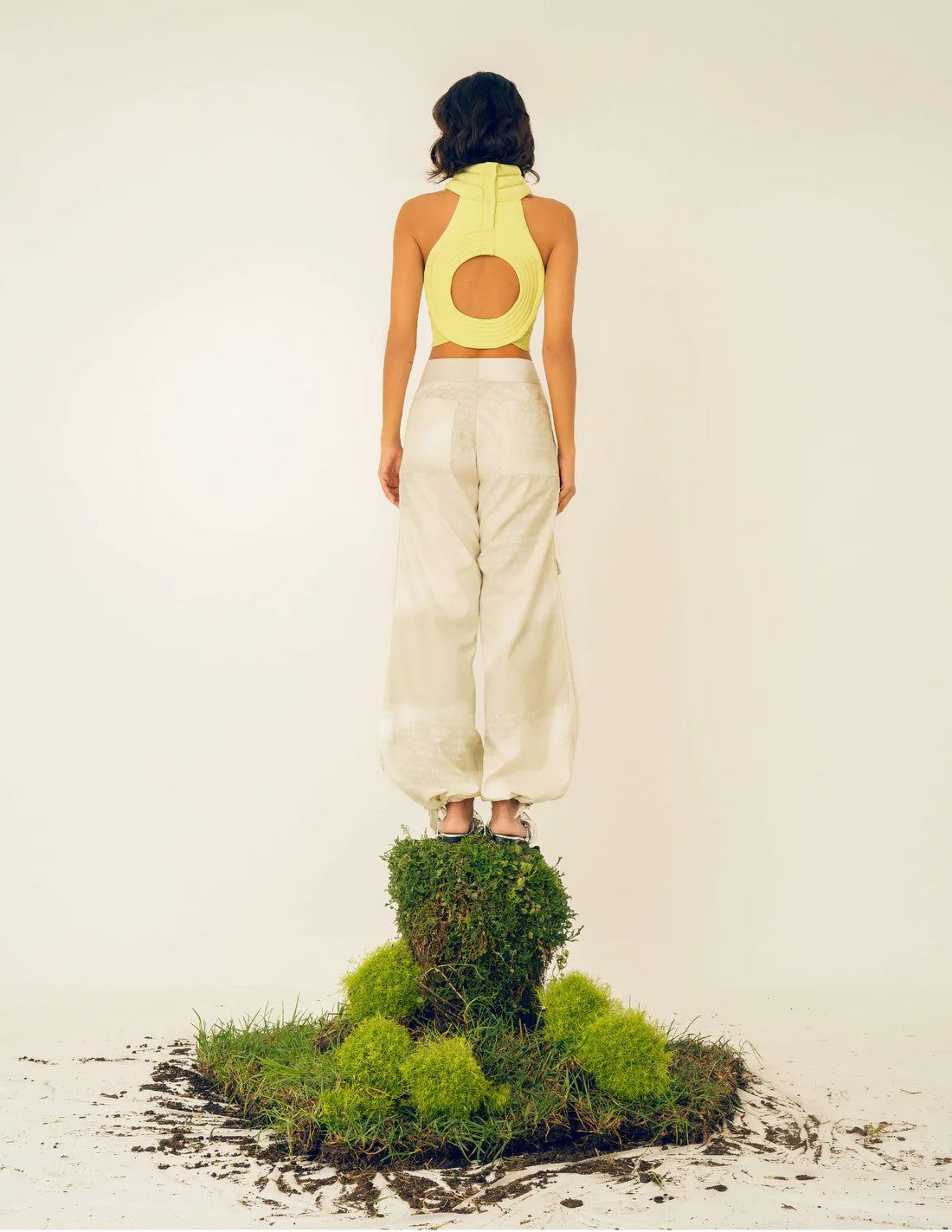Lioness acid lime top