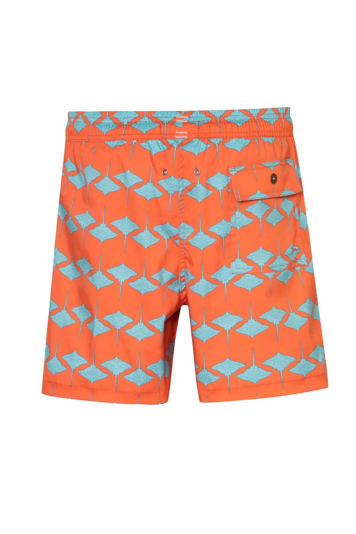 Manta1 short