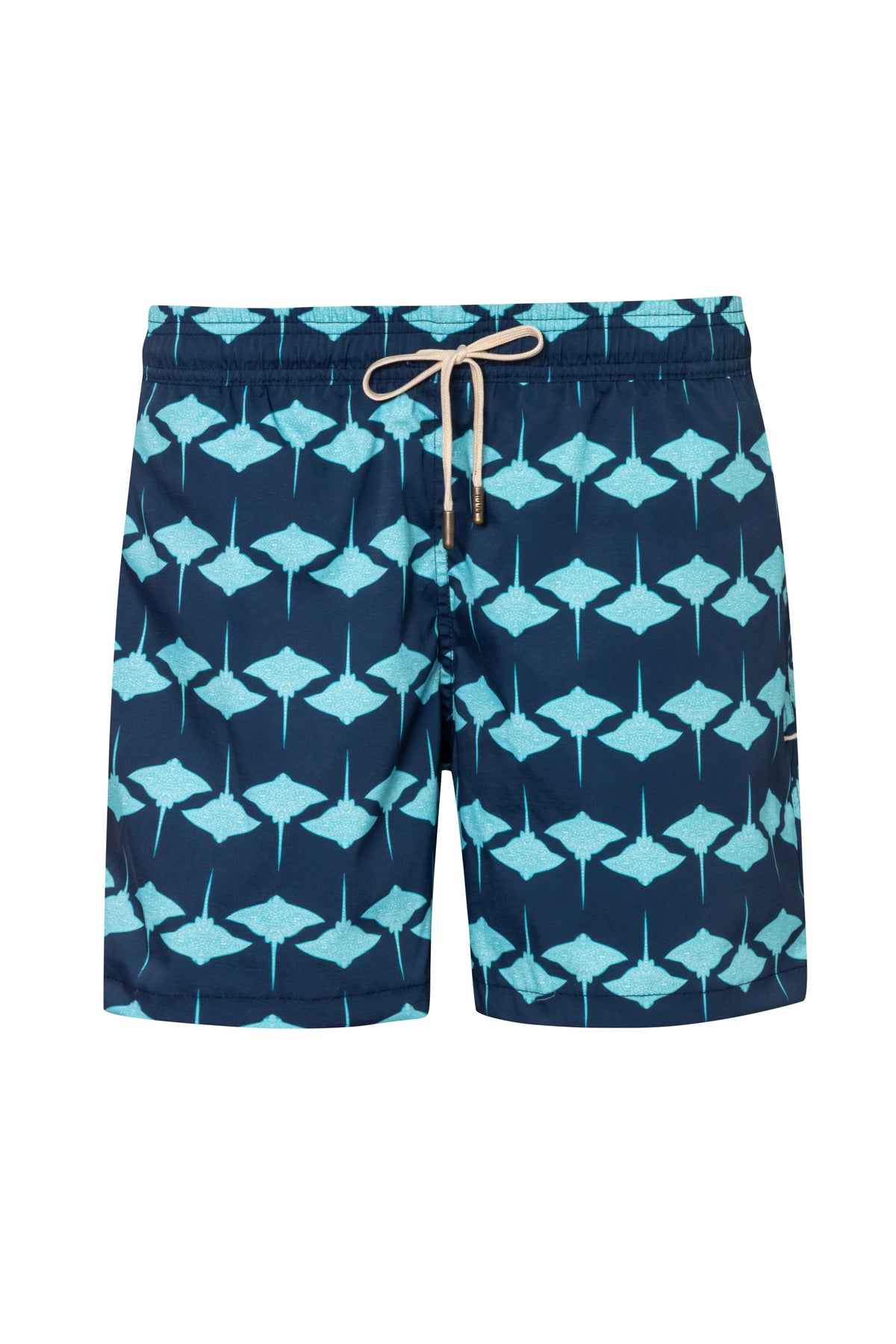 Manta3 galaxy short