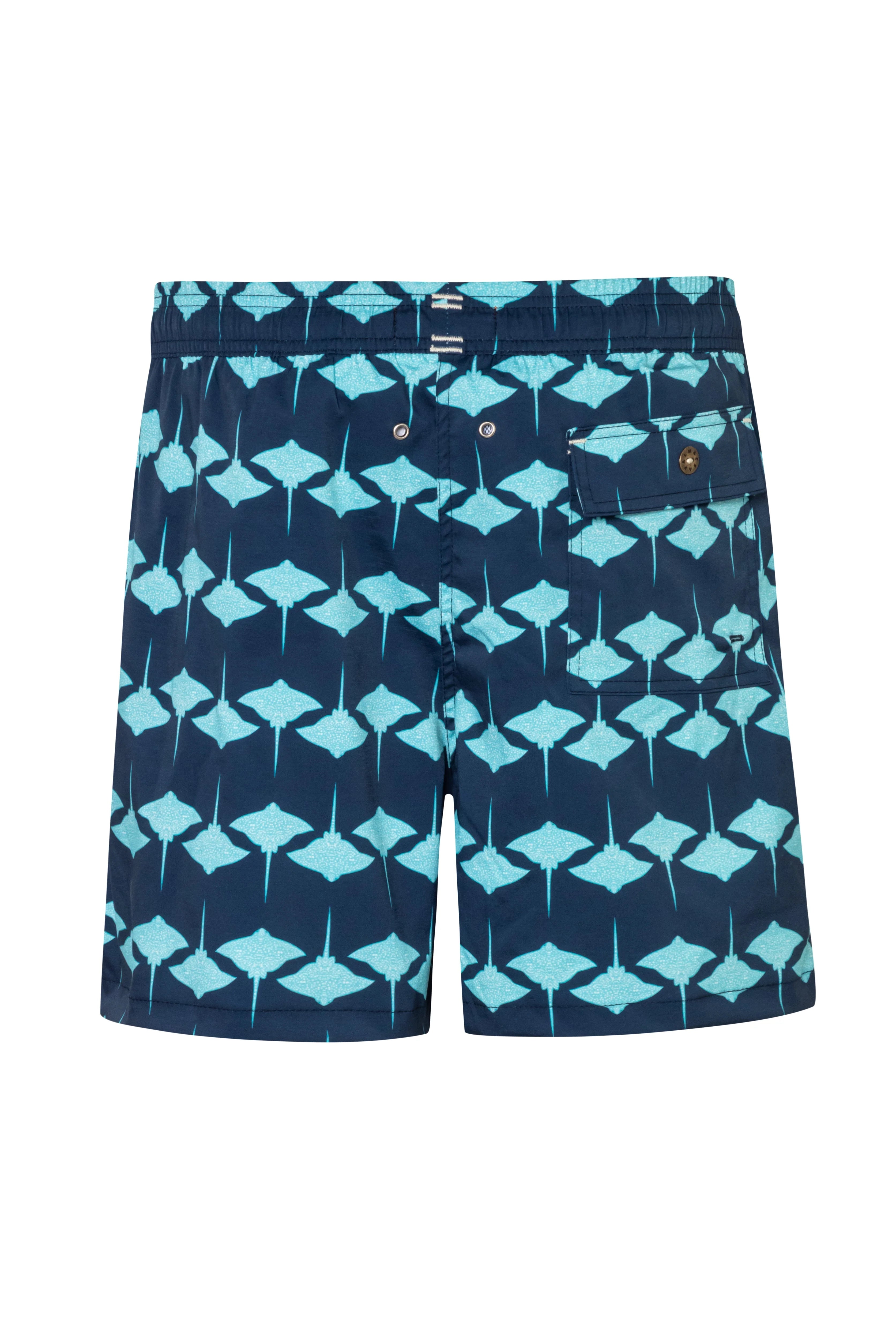 Manta3 galaxy short