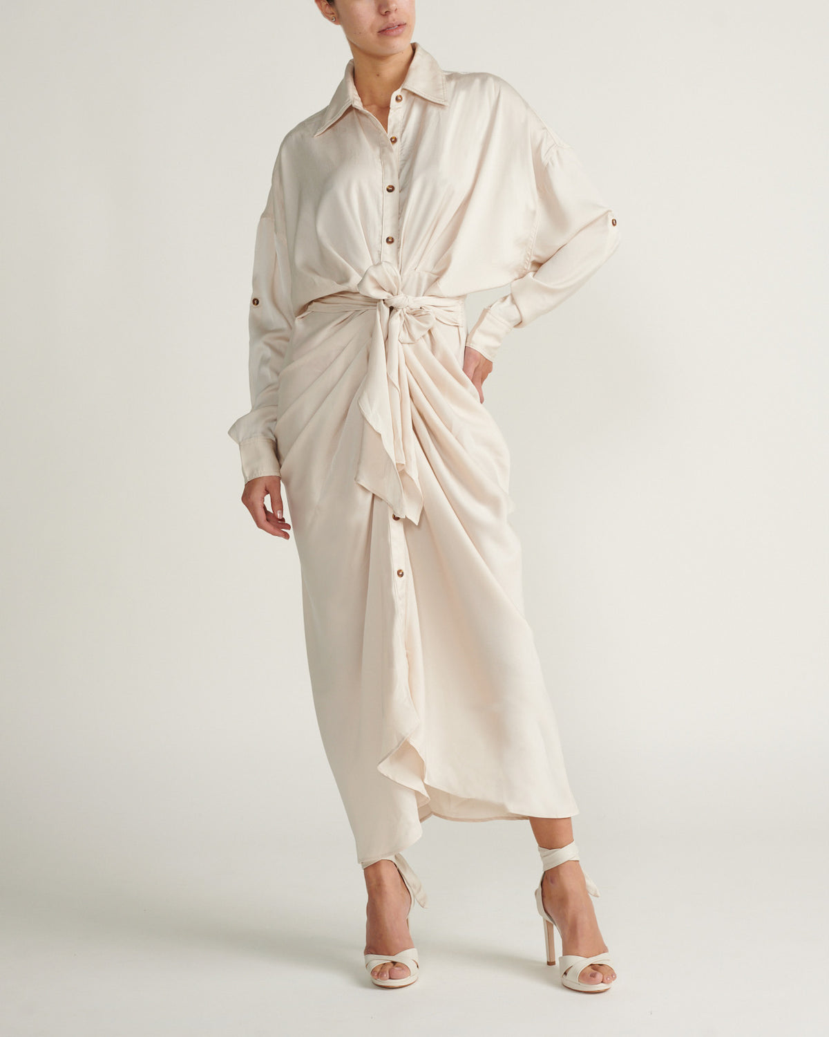 Shirtwaist dress