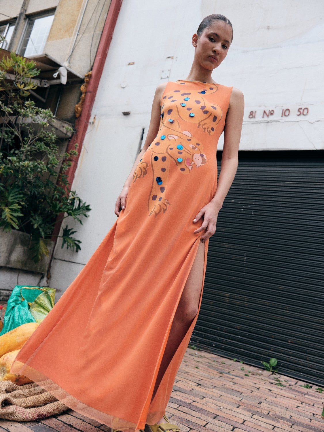 Tiger print maxi dress