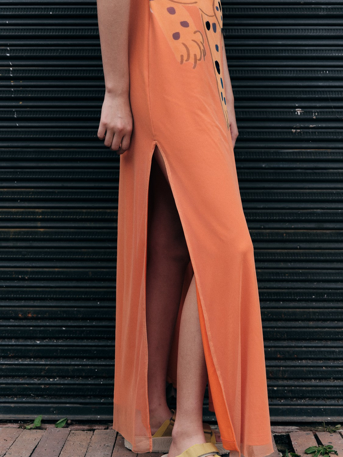 Tiger print maxi dress