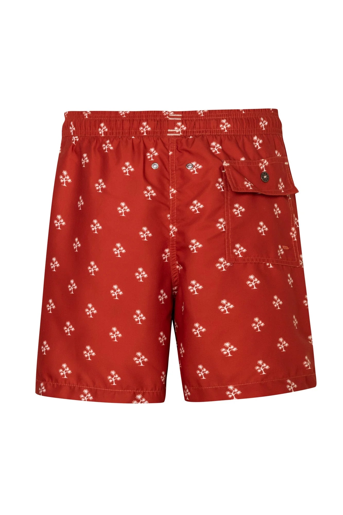 Palmara terram short