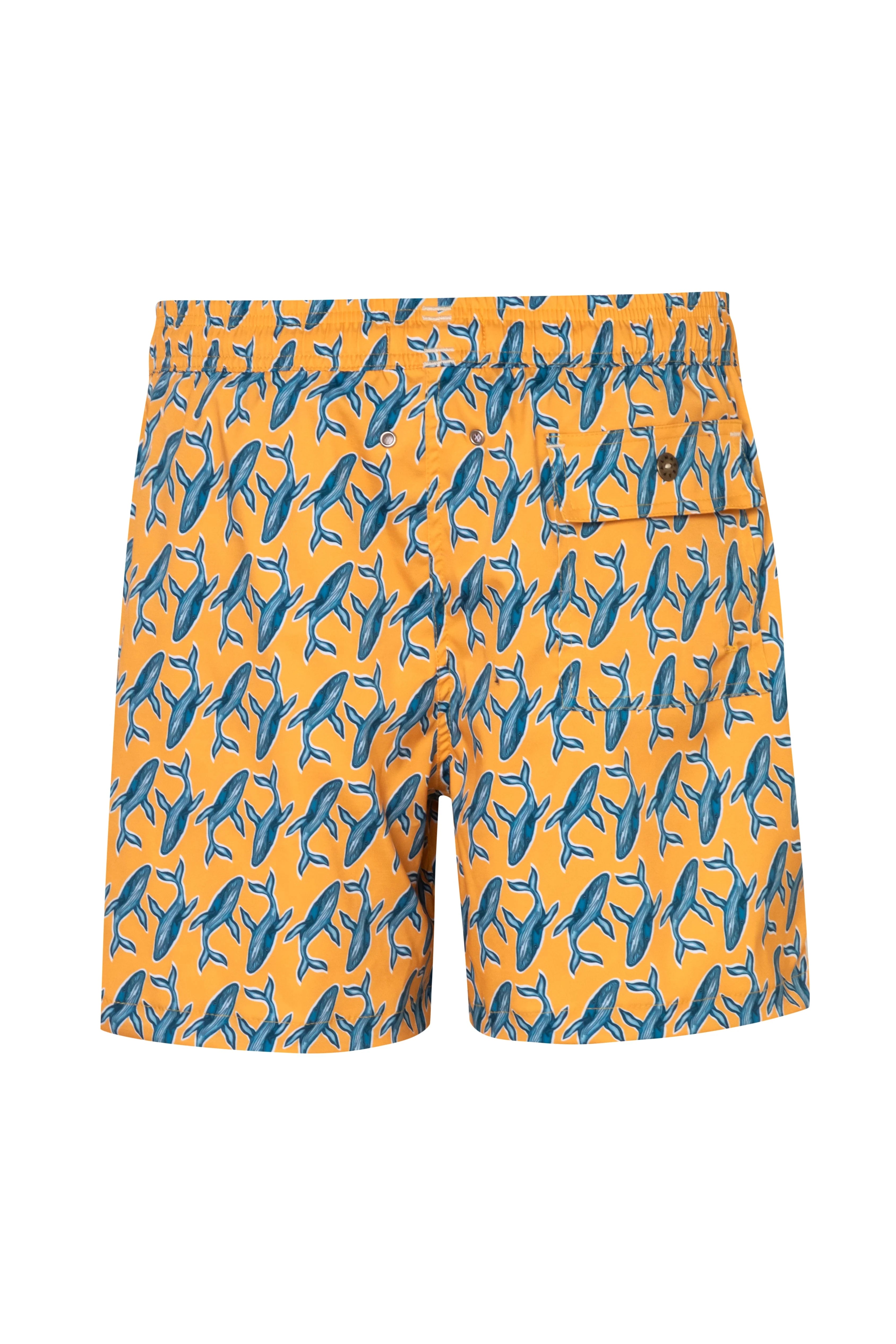 Baleia1 short