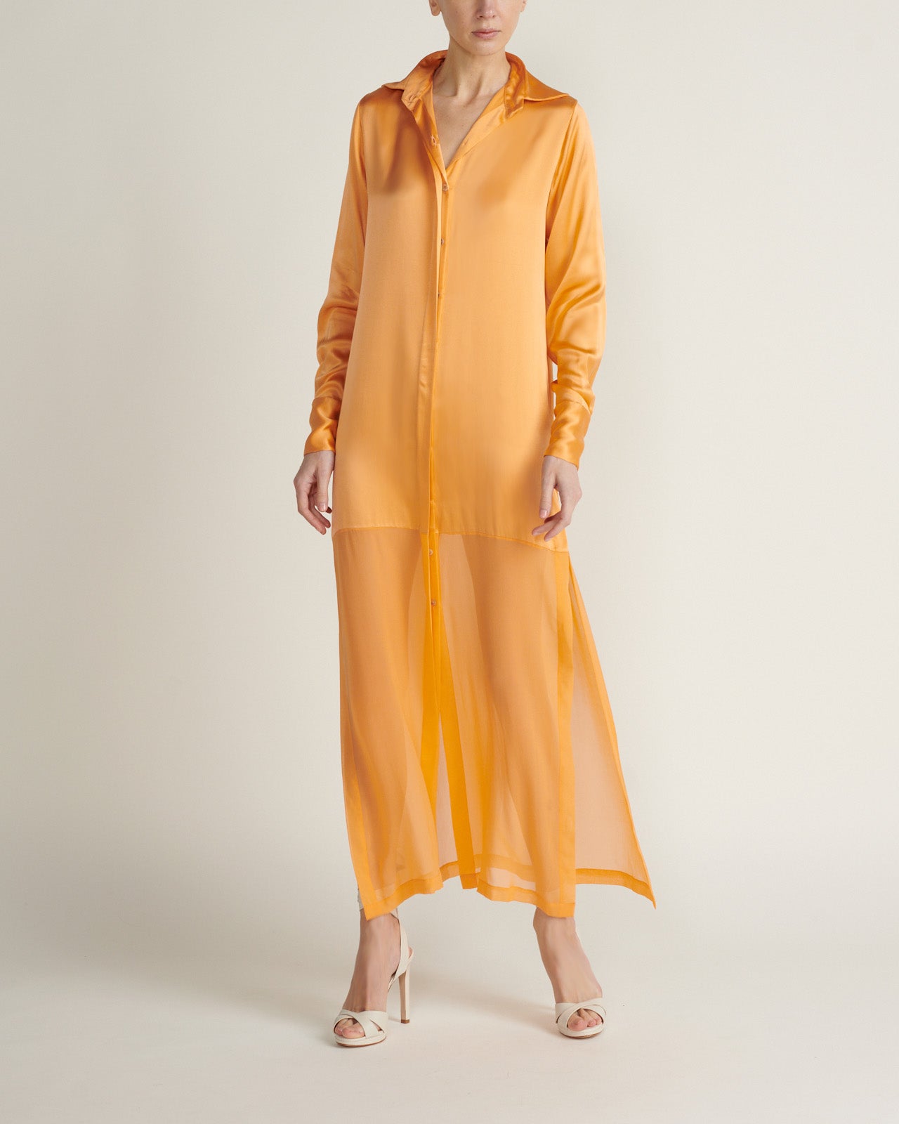Shirtwaist dress